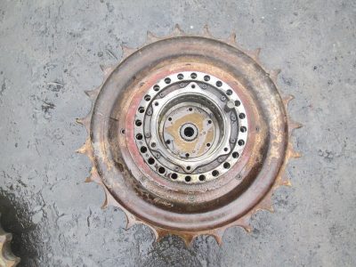 IMG_3904_Easy-Resize.com