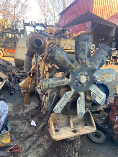 WhatsApp Image 2022-01-12 at 08.33.07