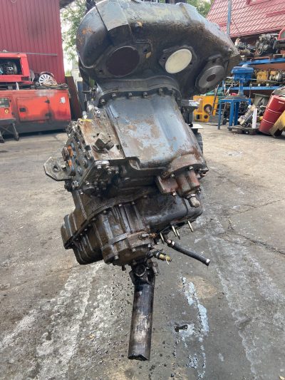 WhatsApp Image 2022-08-24 at 08.16.37